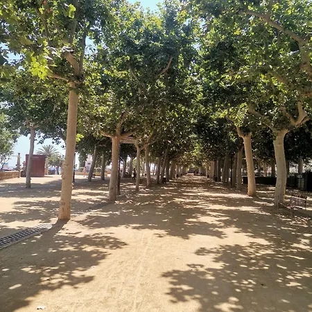 Centrico En * Calella