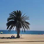 Centrico En